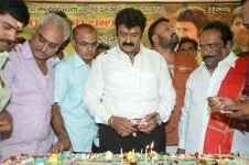 Balakrishna Birthday Celebrations